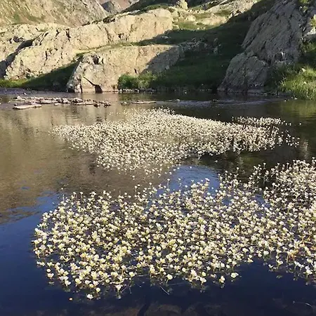 T2 Pres Centre Et Telecabine A - Fr-1-234-313 *